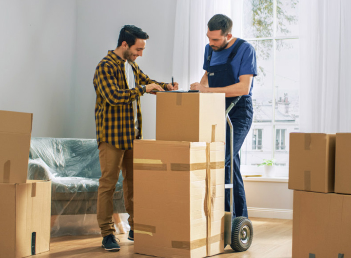 packers and movers services